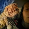 amandafiguer883